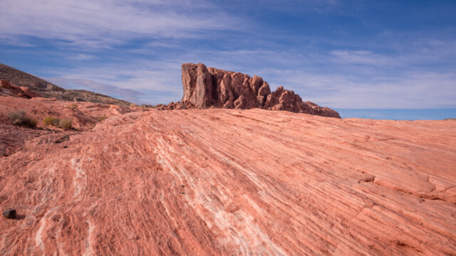 the Wave - die Welle