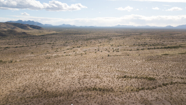 Sonora-Wüste von oben, wir lesen, es sei die grünste Wüste auf der Erde