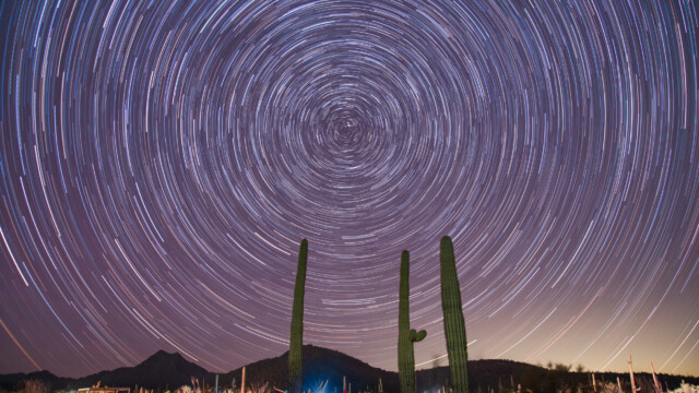 Strichspur Richtung Norden auf dem Campingplatz vom Organ-Pipe NM