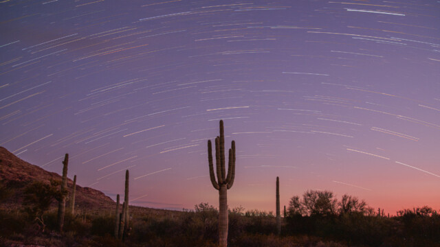 Strichspur über Saguaro Richtung Süden