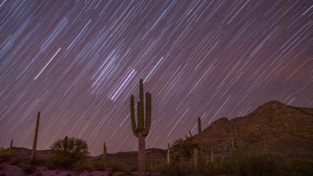 Strichspur Richtung Osten: der helle orange Strich links ist der Mars, der noch hellere violette links vom Saguaro ist der Orion-Nebel