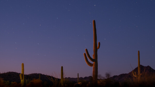 Mondscheinfotografie