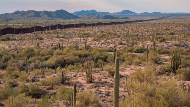 Kakteen und der Grenzzaun, so weit das Auge reicht