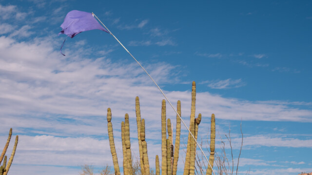 Flagge markiert Wasserstelle