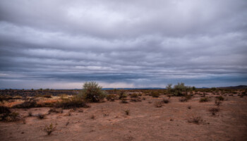selten in Arizona: Regenwetter