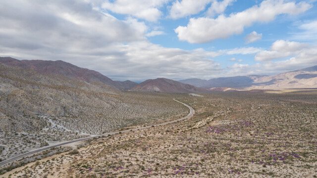 auch hier findet man viele Blumenfelder; im Hintergrund eine Flugpiste, glücklicherweise ohne Drohnensperrgebiet;