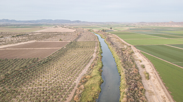 Colorado-River, Grenzflüsslein zwischen Kalifornien (links) und Arizona (rechts)