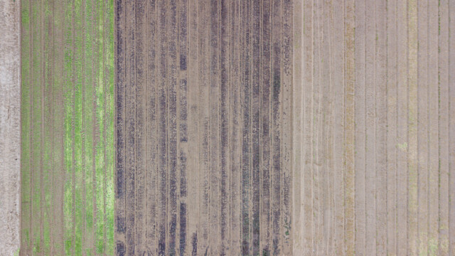 teilweise geerntete Felder