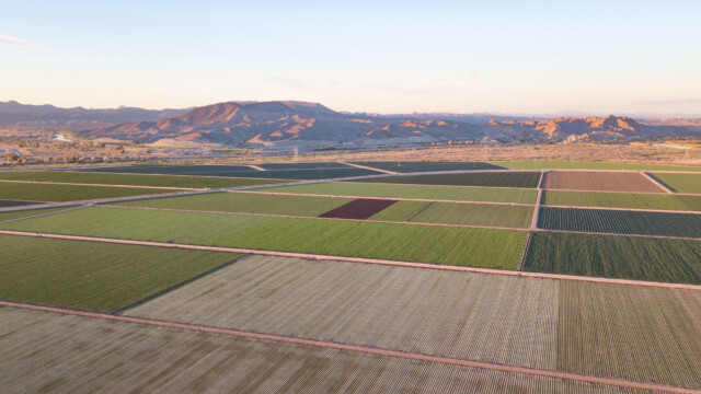 kurz vor Sonnenuntergang