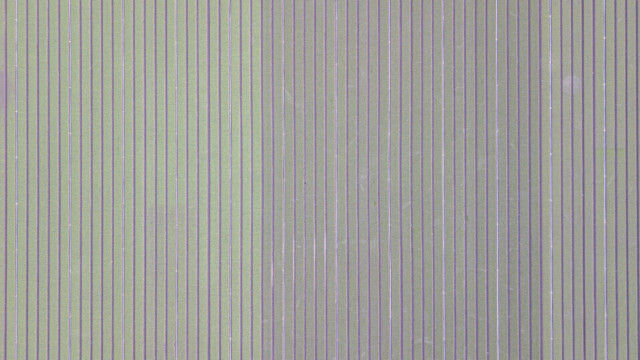 Salat von oben mit hellen
Bewässerungsrohren