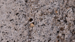 Goldplättchen im porösen Stein