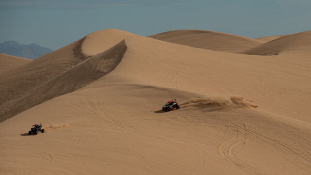 Spielzeug für Erwachsene