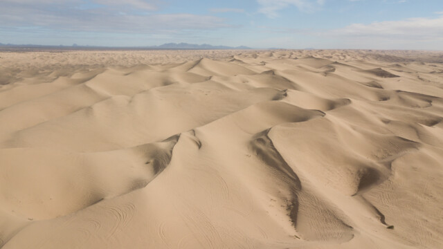 Dünen, so weit das Auge reicht