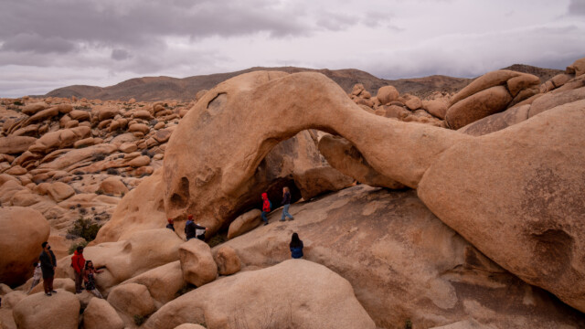 ... vor zwei Tagen hatte es hier ganz viele Leute;