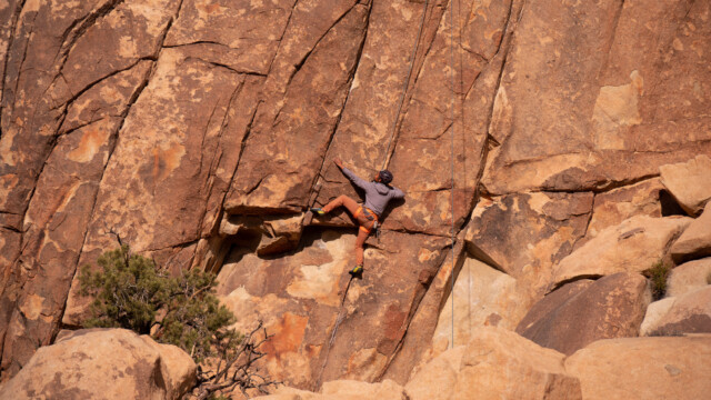 ... sucht sich seinen Weg