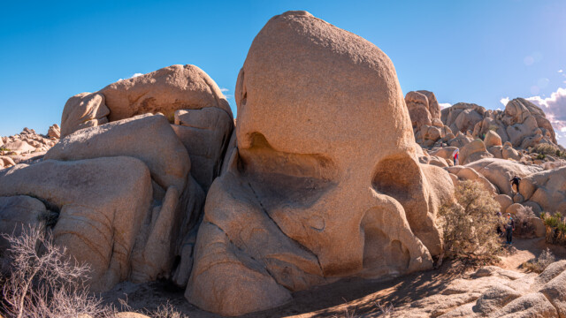 The Skull - der Schädel...