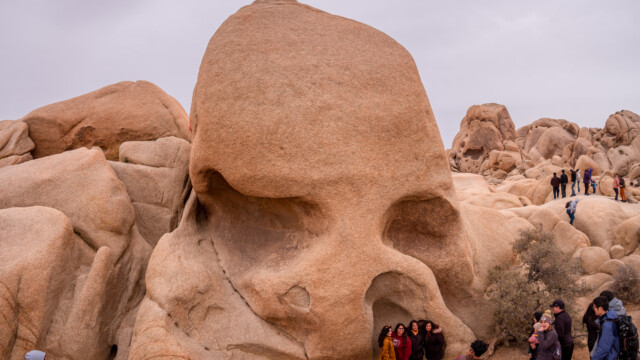 ... und vor zwei Tagen;