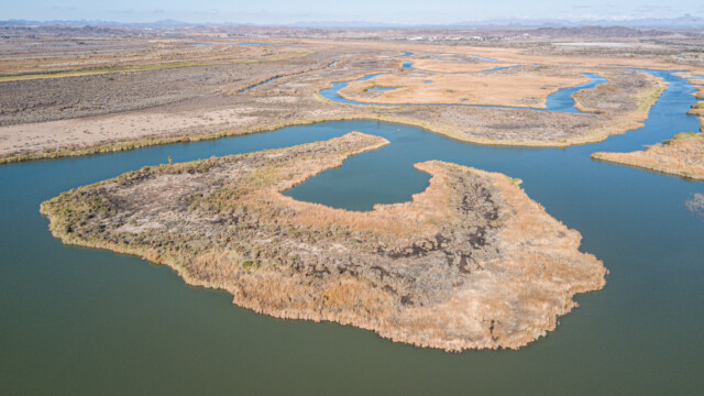 Mittry-Lake und Arme des Colorado-Rivers