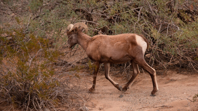 sieht auch von hinten attraktiv aus