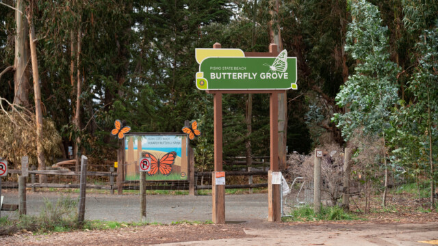 Eingang zum Park, wo tausende westliche Monarch-Falter überwintern