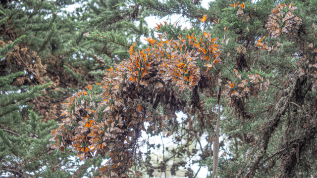 es ist immer etwas los, einige sind immer am Fliegen