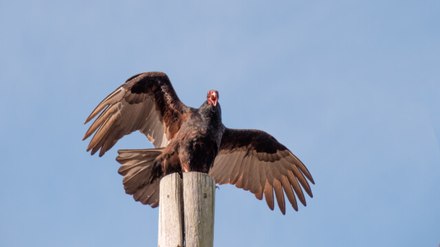 ob wir ihn geweckt haben?