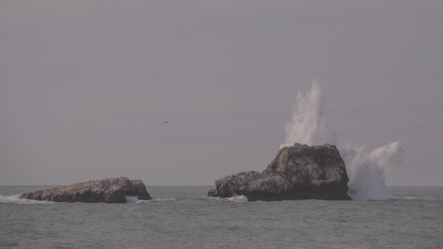 grosse "Spritzer" an den Piedras Blancas, den vom Kot der Seevögel weissgefärbten Felsen;