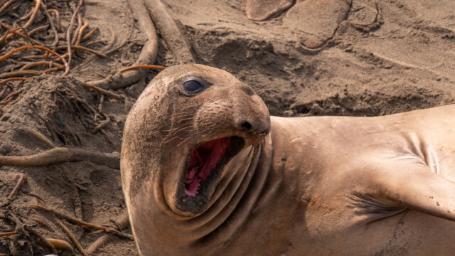 nein, so geht das nicht...