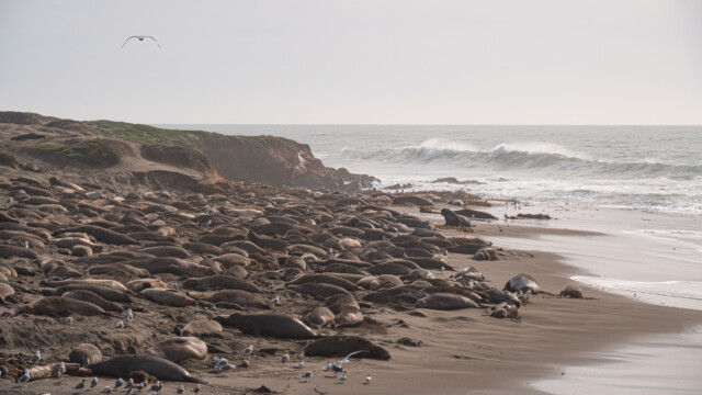 bei Hochwasser und Sturm wird es sehr eng