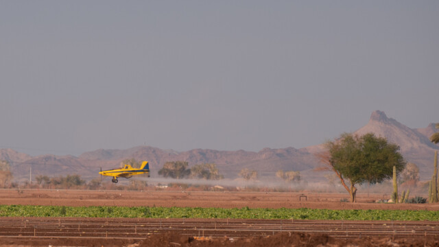 Sprühflugzeug jagt im Tiefstflug über die Felder