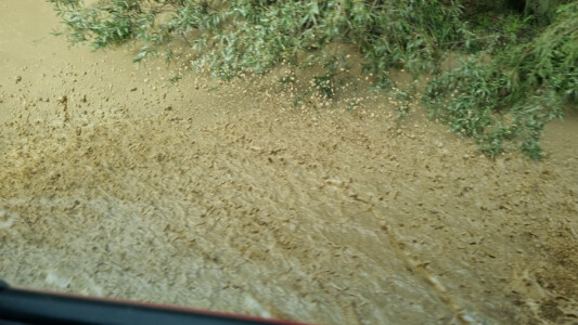 Sicht aus dem Seitenfenster