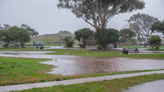 den See-Möwen gefällt es;