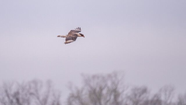 ... und vor uns durch;