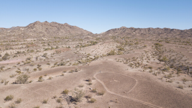 Fischer aus der Luft ...