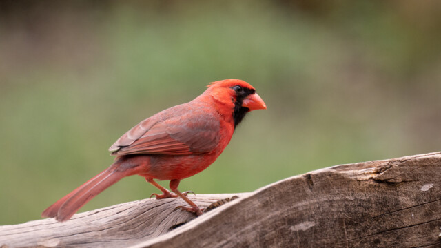was gibt es wohl hier zu entdecken?