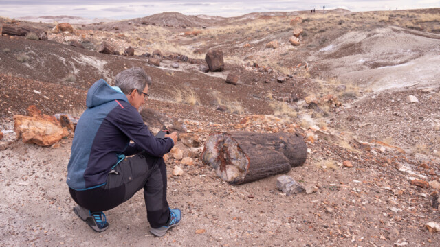 davon können wir nicht genug kriegen