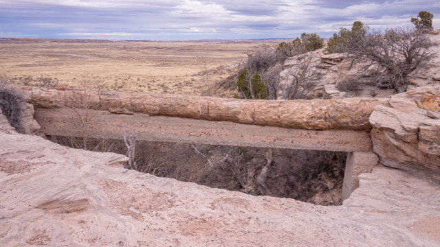 Baumbrücke, allerdings mit Betonsockel unterlegt