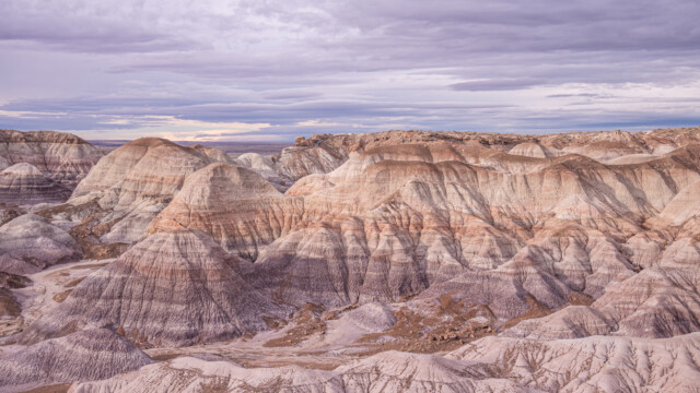 wunderbare Farben von violett über braun bis rot