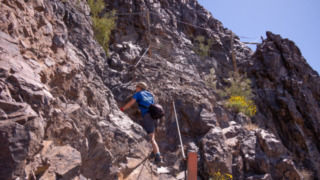 kleine Klettereinlage gefällig?