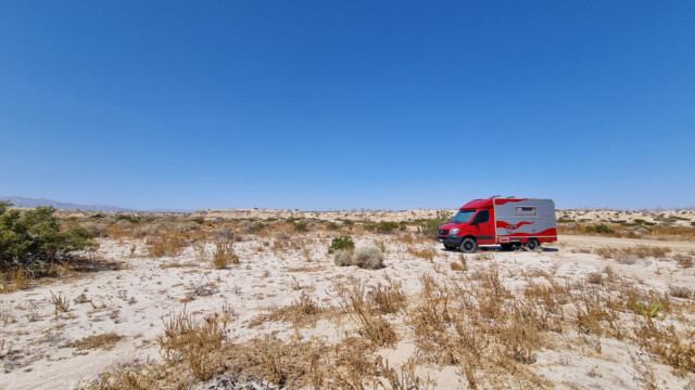 Jupi am Strand von Mexiko