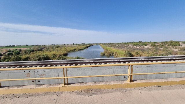 grüne Flächen um den Colorado-River