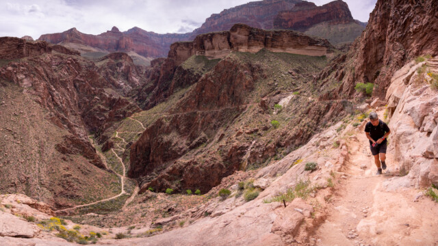 hier geht es den Bright Angel Trail hoch