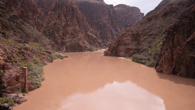 der Fluss ist hier ganz ruhig