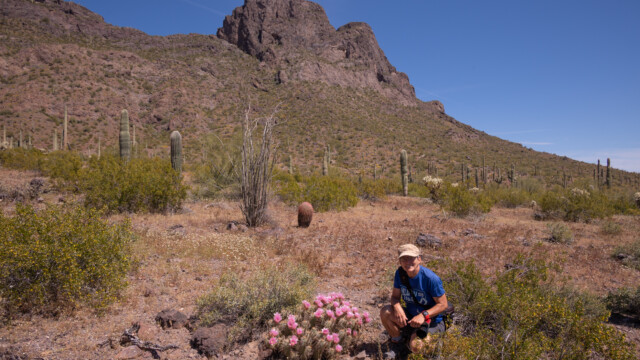 vorne die blühenden Igel-Kakteen, hinten unser heutiger Gipfel