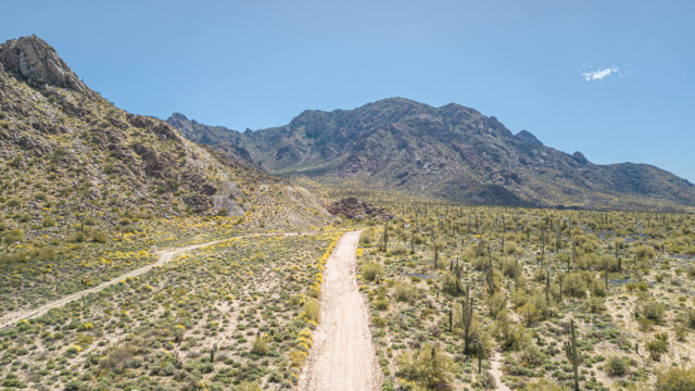 mit der Drohne fliege ich etwa 30m über dem Feldweg