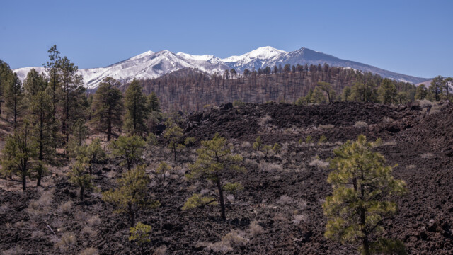 im Hintergrund wieder die San Francisco Mountains