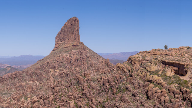 die Nadel und der einsame Baum