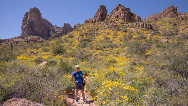 wir wandern wieder in einem Blumenmeer hoch