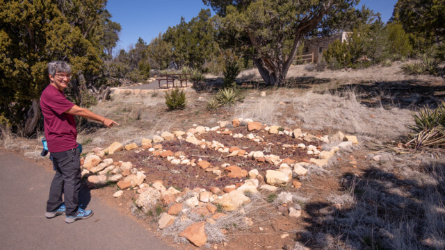 oberhalb des Canyon wurden Pflanzen angebaut - vermutet man