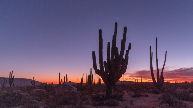 der helle Punkt über dem Cordón-Kaktus ist die Venus